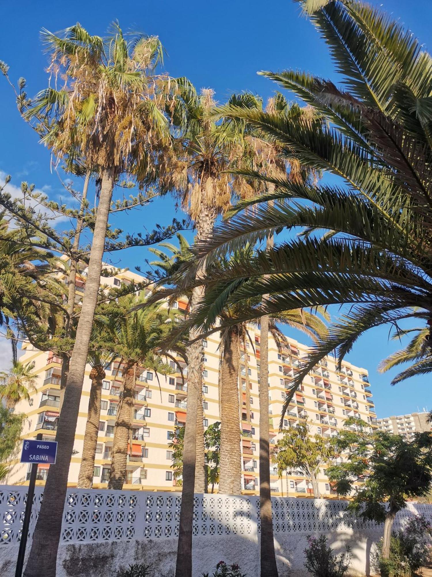 Los Cristianos Achacay Appartement Standing Vue Panoramique 外观 照片